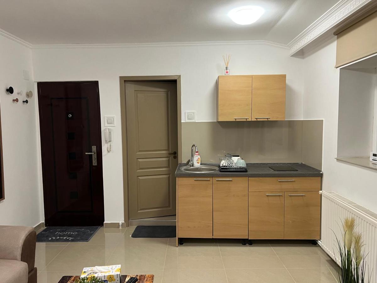 Ndl Downtown Apartment Cluj Napoca Bagian luar foto