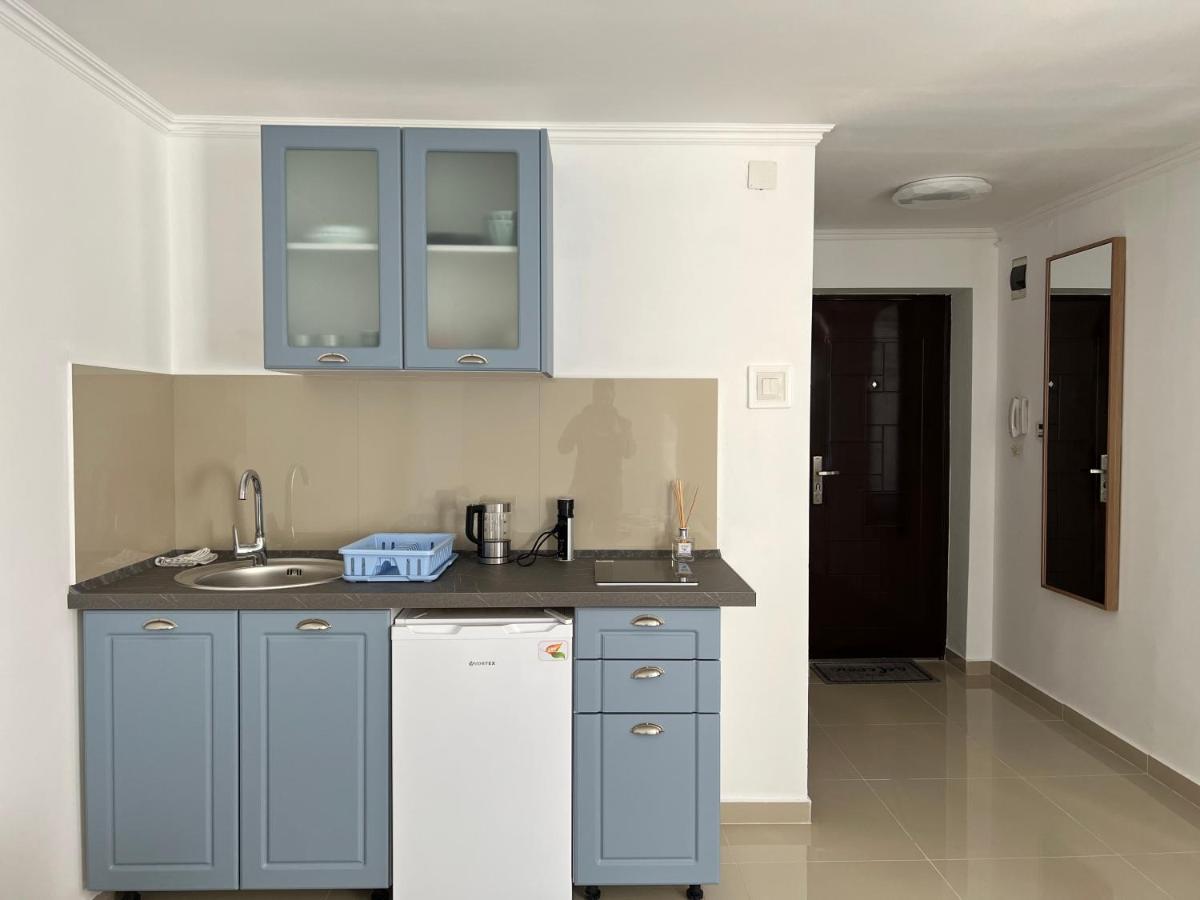 Ndl Downtown Apartment Cluj Napoca Bagian luar foto
